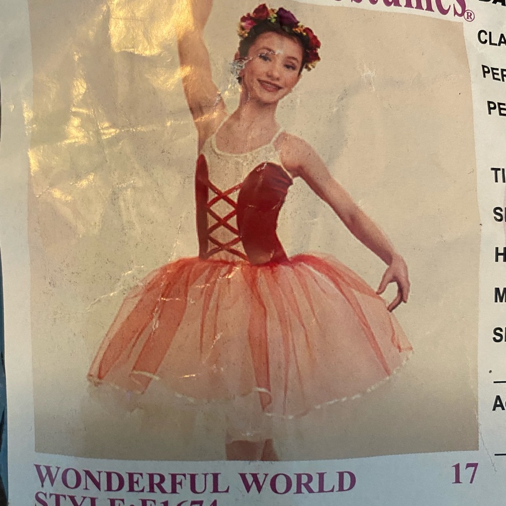 Ballet Costume